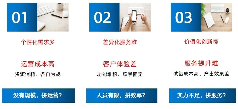 赏金国际
